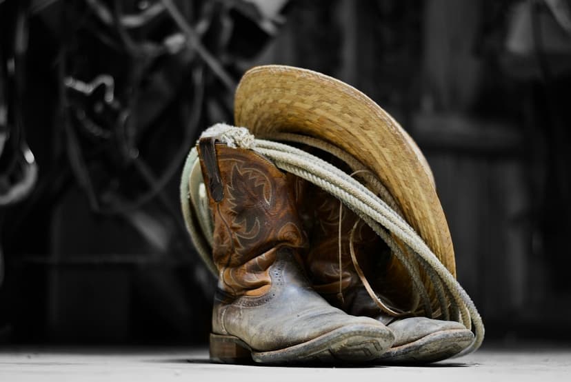 Ariat Sport Rustler Western Boot
